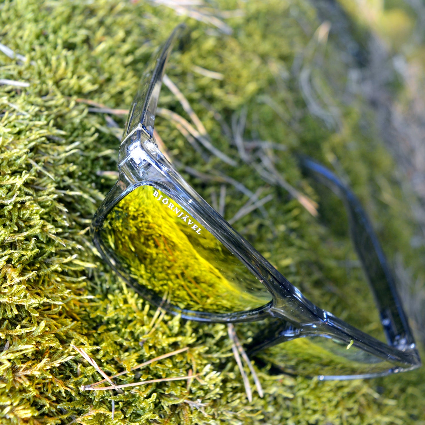 Björnjävel B1 Solglasögon