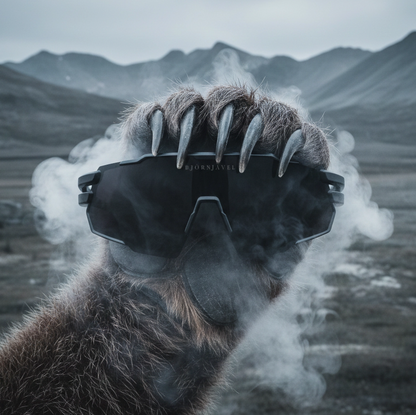 Björnjävel Clash Sportglasögon