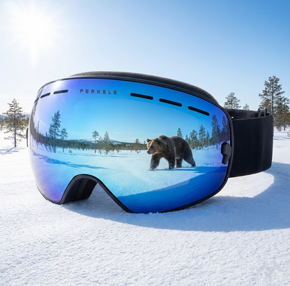 Perkele Skidglasögon Goggles