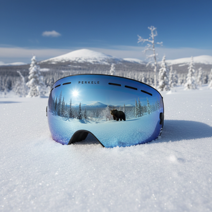Perkele Skidglasögon Goggles
